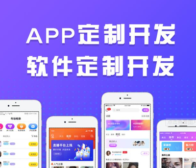 国外应用app定制软件开发